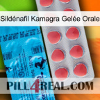 Sildénafil Kamagra Gelée Orale new14